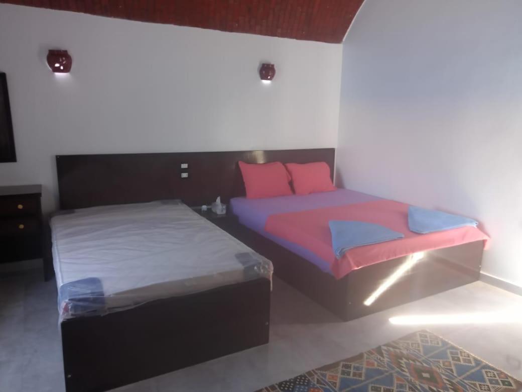 Kafana Guest House Nile View Aswan Exterior foto